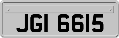 JGI6615