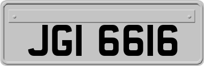 JGI6616