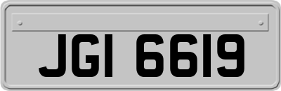 JGI6619