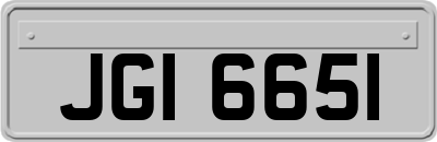 JGI6651