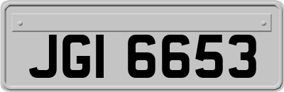 JGI6653
