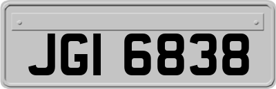 JGI6838