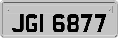 JGI6877