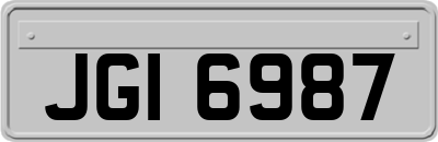 JGI6987