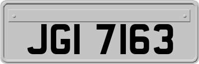 JGI7163