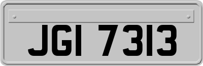 JGI7313