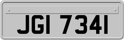 JGI7341