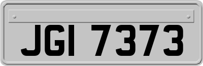 JGI7373