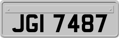 JGI7487