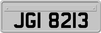 JGI8213