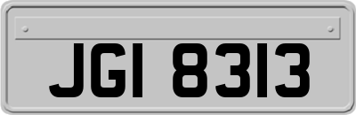 JGI8313