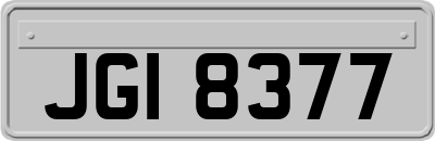 JGI8377