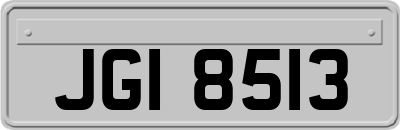 JGI8513