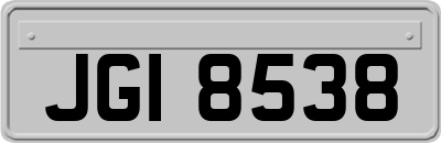 JGI8538