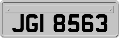 JGI8563