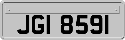 JGI8591