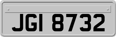 JGI8732
