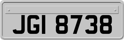 JGI8738