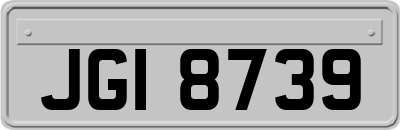 JGI8739