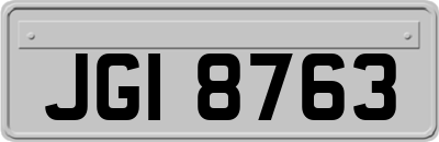 JGI8763