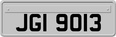 JGI9013