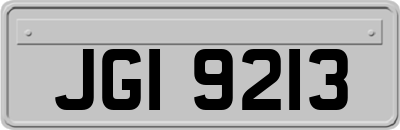 JGI9213
