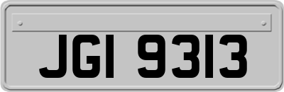 JGI9313