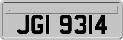 JGI9314