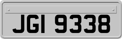 JGI9338