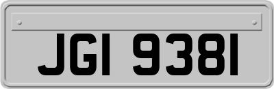 JGI9381
