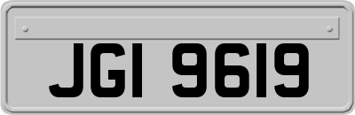 JGI9619
