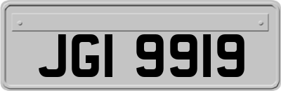JGI9919