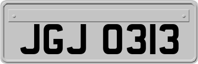 JGJ0313