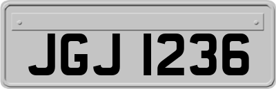 JGJ1236