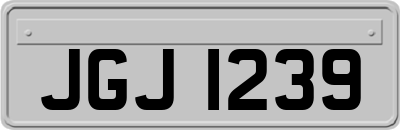 JGJ1239