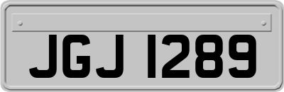 JGJ1289