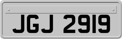 JGJ2919