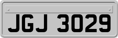 JGJ3029