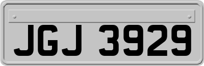 JGJ3929
