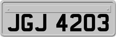 JGJ4203