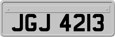 JGJ4213