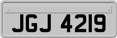 JGJ4219