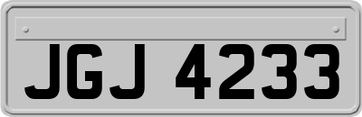 JGJ4233