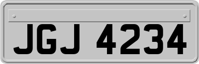 JGJ4234