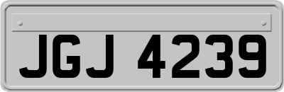 JGJ4239