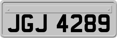 JGJ4289