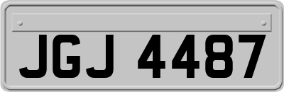 JGJ4487