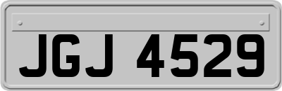 JGJ4529