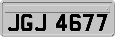 JGJ4677