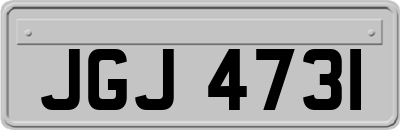JGJ4731